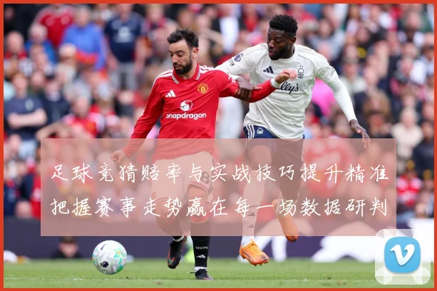 足球竞猜赔率与实战技巧提升精准把握赛事走势赢在每一场数据研判-深度解析