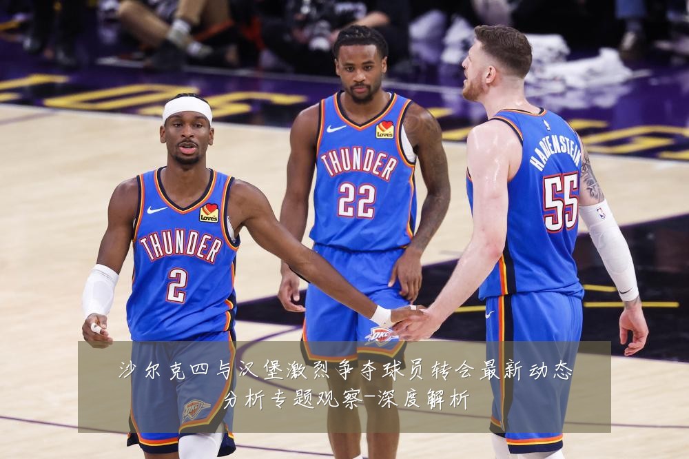 沙尔克四与汉堡激烈争夺球员转会最新动态分析专题观察-深度解析